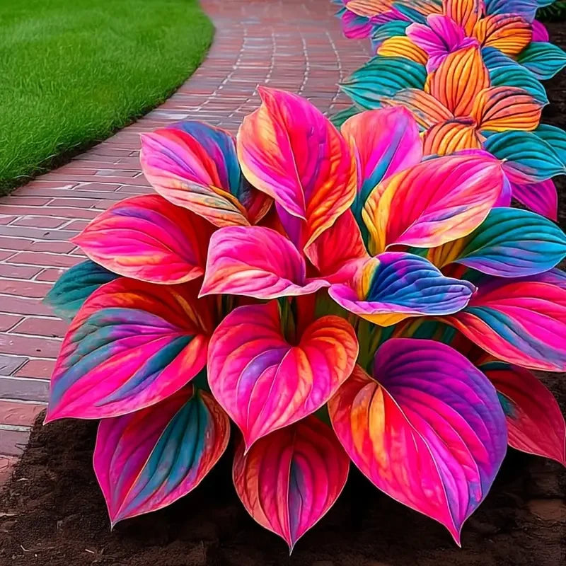 /69c45c76d087330009c887a0/2026/04/14/product-img-69ddedfbf707c0639afa48aa.png